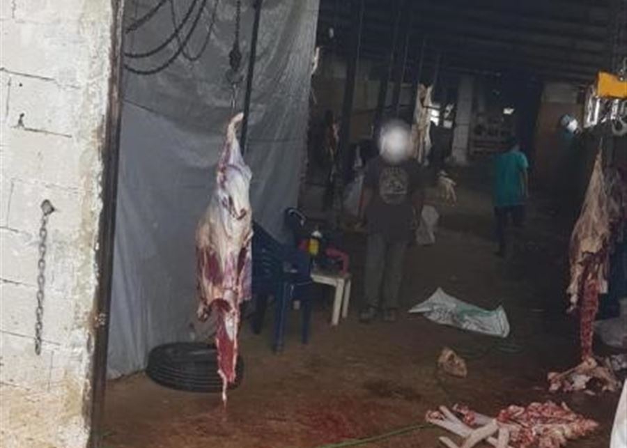 بالصور - سوري يذبح الأبقار المريضة ويبيعها لأصحاب الملاحم في زغرتا.. اليكم التفاصيل!